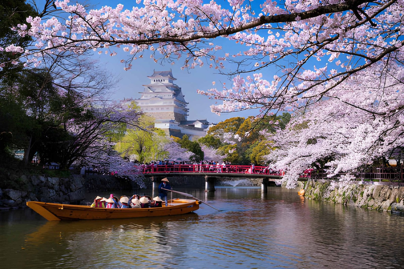 Japan eSIM Providers Compared: Docomo, SoftBank, KDDI